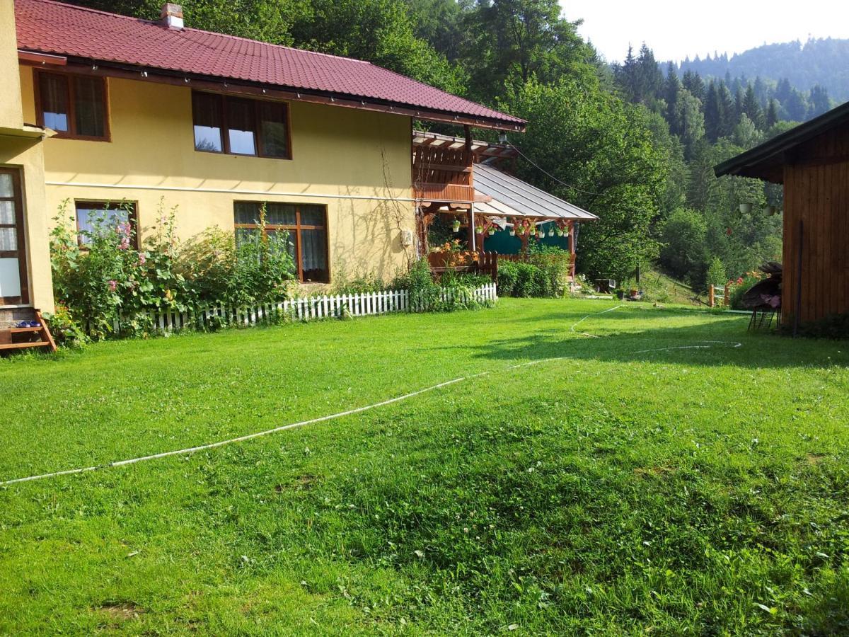 Cabana Suprema Armonie Dîmbovicioara Exteriér fotografie